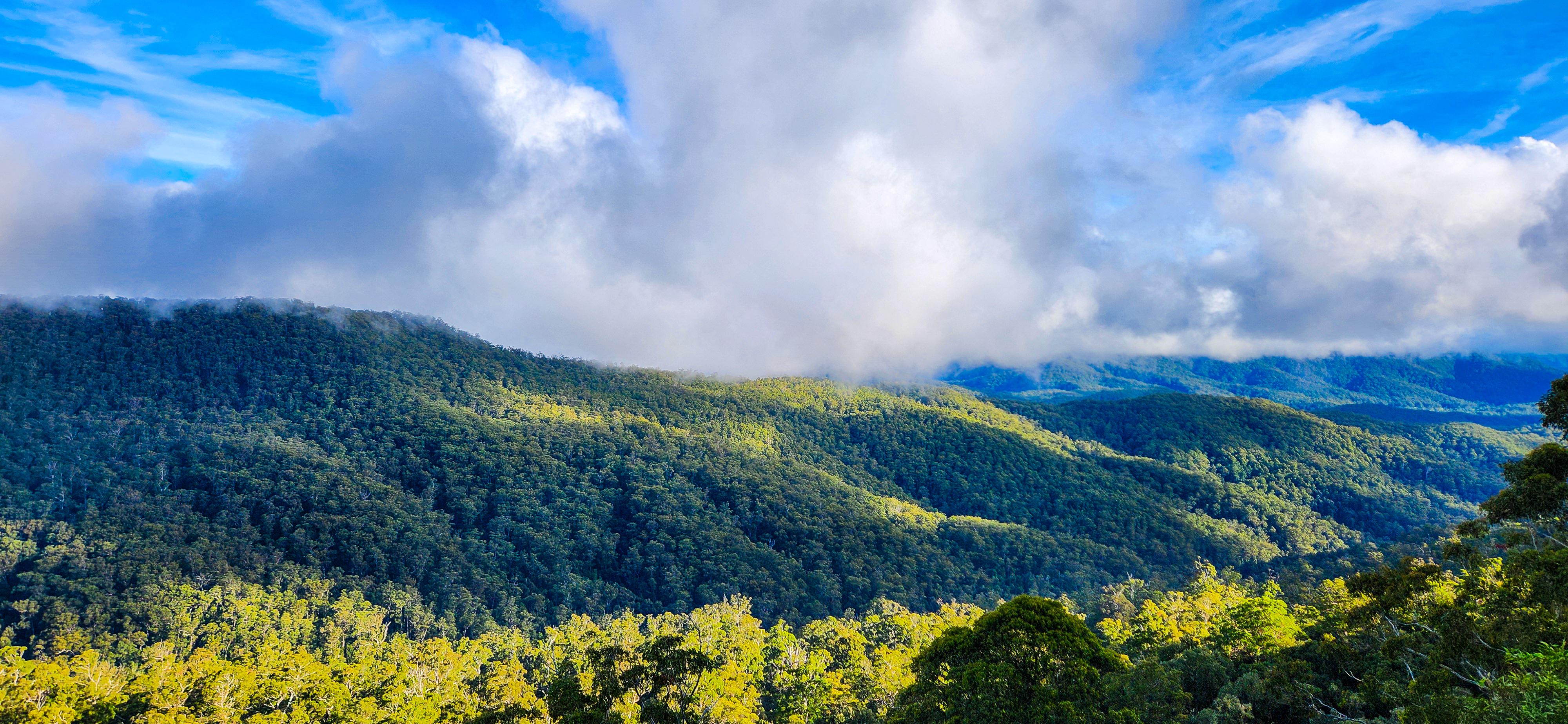 Beech Lookout